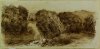 1901-1903 ca. - Paesaggio sardo con alberi e cespugli
